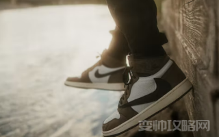 真aj和莆田aj的区别（莆田的aj和正版差距在哪）