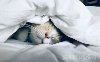 健身睡不着觉是什么原因 健身睡不着影响增肌吗