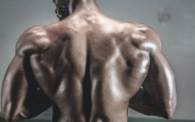 增肌怎么练最好的方法 三分化还是五分化