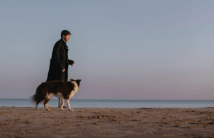 男生穿搭app推荐 3个我最喜欢的穿搭app推荐-第1张图片 男生穿搭app推荐 3个我最喜欢的穿搭app推荐-第1张图片