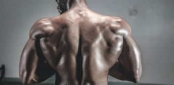 增肌怎么练最好的方法 三分化还是五分化-第1张图片 增肌怎么练最好的方法 三分化还是五分化-第1张图片