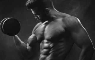 增肌蛋白粉运动前喝还是运动后喝 蛋白粉一天喝几次-第1张图片 增肌蛋白粉运动前喝还是运动后喝 蛋白粉一天喝几次-第1张图片