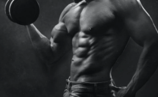 健身为什么喝肌酸 喝肌酸的好处-第1张图片 健身为什么喝肌酸 喝肌酸的好处-第1张图片