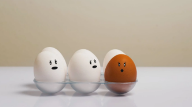 健身只吃蛋白不吃蛋黄蛋黄怎么办(最佳解决方法)-第1张图片 健身只吃蛋白不吃蛋黄蛋黄怎么办(最佳解决方法)-第1张图片