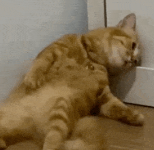 躺平是什么意思(现在流行躺平是啥意思)-第5张图片 躺平是什么意思(现在流行躺平是啥意思)-第5张图片