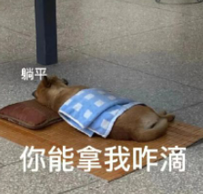 躺平是什么意思(现在流行躺平是啥意思)-第6张图片 躺平是什么意思(现在流行躺平是啥意思)-第6张图片