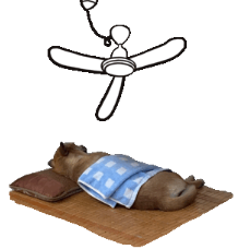 躺平是什么意思(现在流行躺平是啥意思)-第7张图片 躺平是什么意思(现在流行躺平是啥意思)-第7张图片