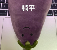 躺平是什么意思(现在流行躺平是啥意思)-第8张图片 躺平是什么意思(现在流行躺平是啥意思)-第8张图片