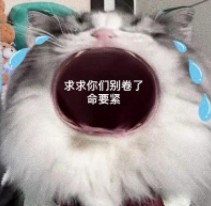 太卷了是什么意思?(又是被卷的一天是啥意思)-第3张图片 太卷了是什么意思?(又是被卷的一天是啥意思)-第3张图片