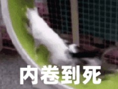 太卷了是什么意思?(又是被卷的一天是啥意思)-第5张图片 太卷了是什么意思?(又是被卷的一天是啥意思)-第5张图片