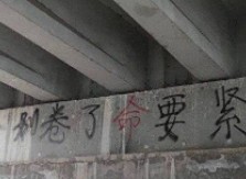 太卷了是什么意思?(又是被卷的一天是啥意思)-第2张图片 太卷了是什么意思?(又是被卷的一天是啥意思)-第2张图片