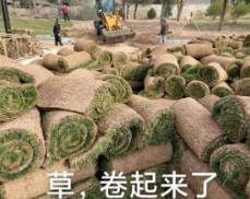 太卷了是什么意思?(又是被卷的一天是啥意思)-第4张图片 太卷了是什么意思?(又是被卷的一天是啥意思)-第4张图片