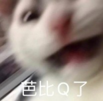 芭比q了是什么意思(芭比q了哪来的梗)-第4张图片 芭比q了是什么意思(芭比q了哪来的梗)-第4张图片