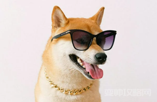 情侣之间养宠物叫什么名字(宠物名字独特小众)-第1张图片 情侣之间养宠物叫什么名字(宠物名字独特小众)-第1张图片