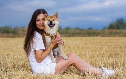 情侣一起养狗的好处(好处很多条件允许的话一定要养)-第1张图片 情侣一起养狗的好处(好处很多条件允许的话一定要养)-第1张图片