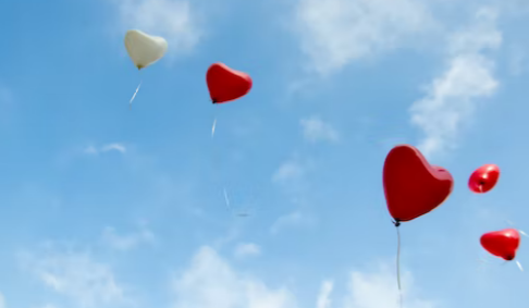 结婚纪念日是结婚那天还是领证那天(领证后第一件事要干嘛)-第1张图片 结婚纪念日是结婚那天还是领证那天(领证后第一件事要干嘛)-第1张图片