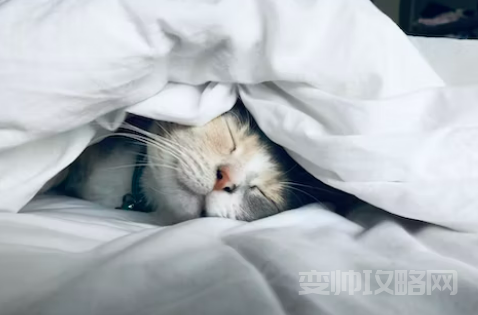 健身睡不着觉是什么原因 健身睡不着影响增肌吗-第1张图片 健身睡不着觉是什么原因 健身睡不着影响增肌吗-第1张图片