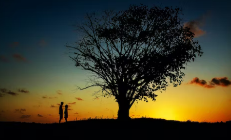 5月21号结婚订婚日子好不好 可以领证吗-第1张图片 5月21号结婚订婚日子好不好 可以领证吗-第1张图片